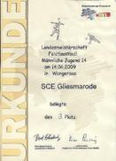 Urkunde fr den 3.Platz bei den Landesmeisterschaften am 14.06.09 in Wangersen